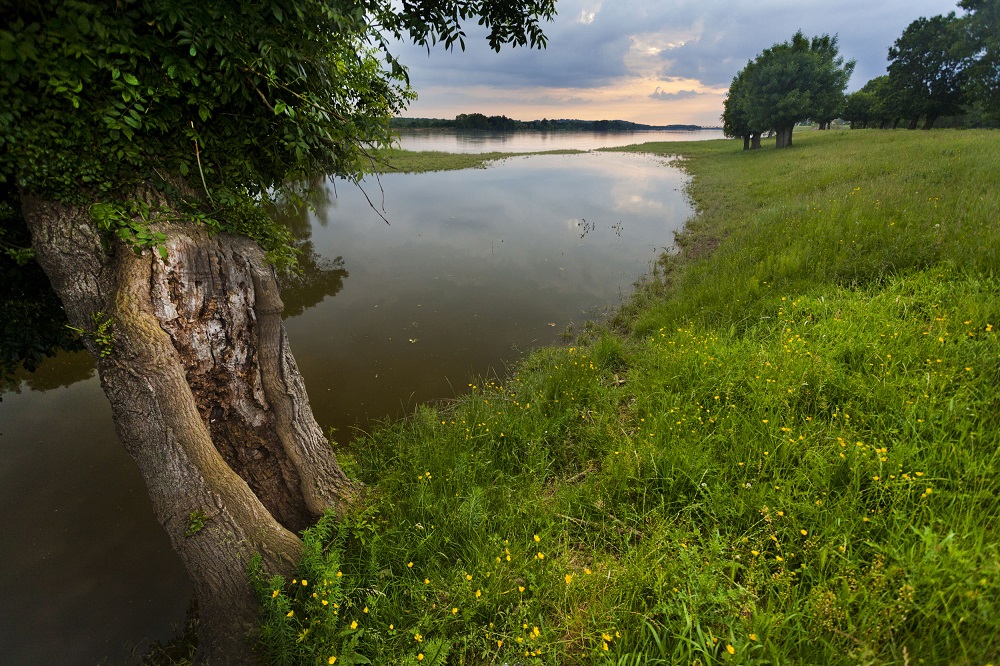 Sunset on a stagnant branch of the River Loire © David Greyo / PNR Loire-Anjou-Touraine