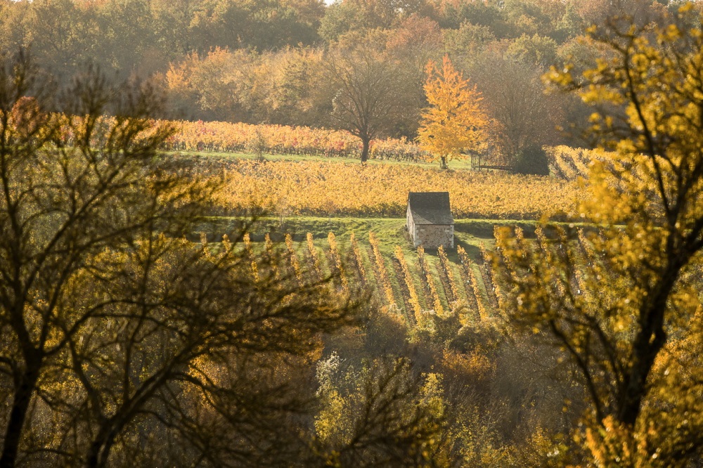 Vieyard hut in Saint-Nicolas-de-Bourgueil © Nicolas Van Ingen / PNR Loire-Anjou-Touraine