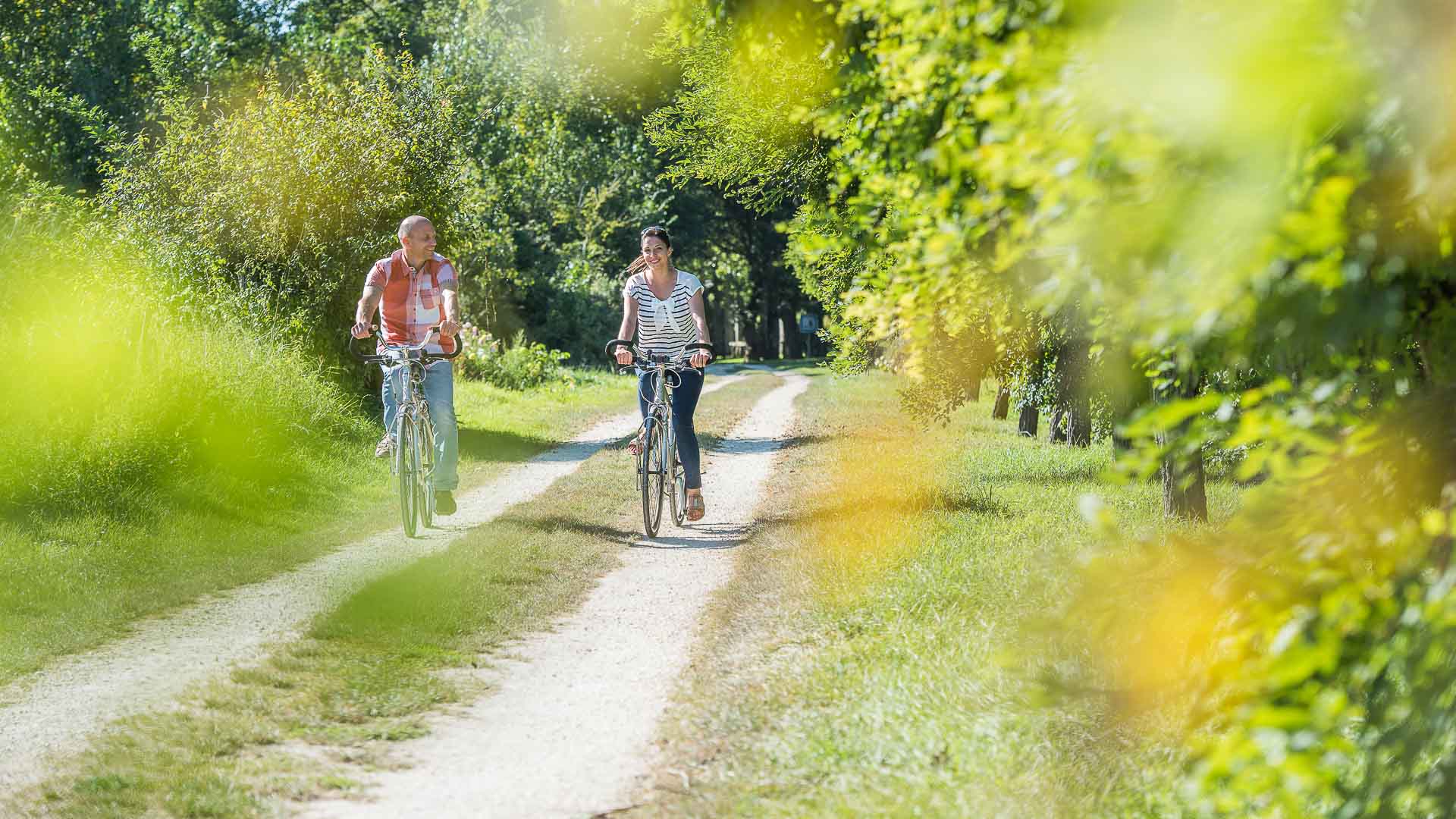 Cycling along the Loire