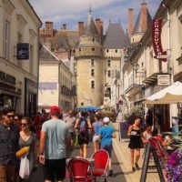 Visit Langeais and Bourgueil in rural Touraine