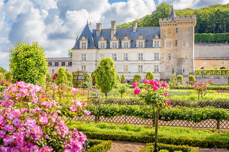 The Villandry kitchen garden and its stem roses. Expert advices on pruning roses. France