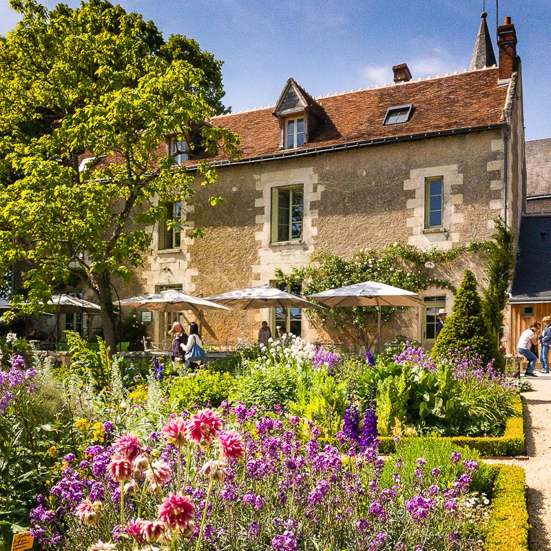 Closerie du Tilleul, a nice place to lunch during your Chédigny tour, a village garden full of roses and perennial plants, with also a traditionnal jardin de curé: the presbytory garden. Just enjoy the roses perfume! Loire Valley, France.