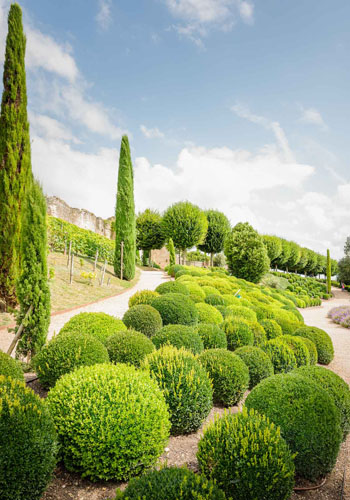 Château royal d’Amboise grounds