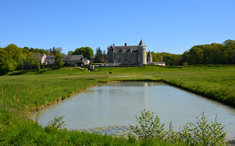 Montpoupon Castle - Loire Valley