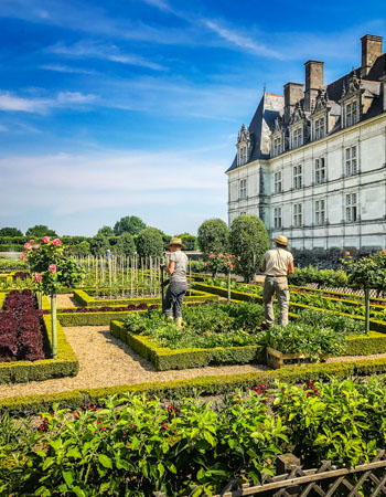 Villandry castle and gardens