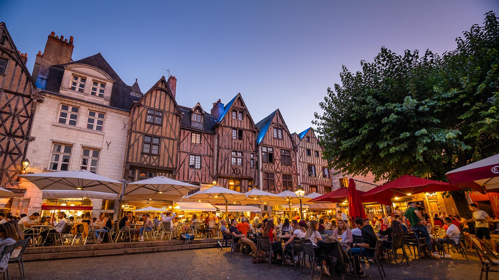 Tours and the finest cities in Touraine: Amboise, Chinon, Loches...