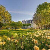 Which castle to visit in the Loire Valley in 2023?