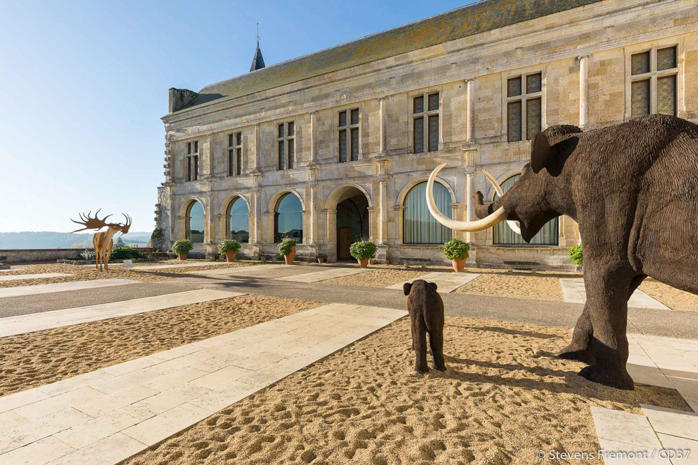 The prehistory museum of Le Grand-Pressigny