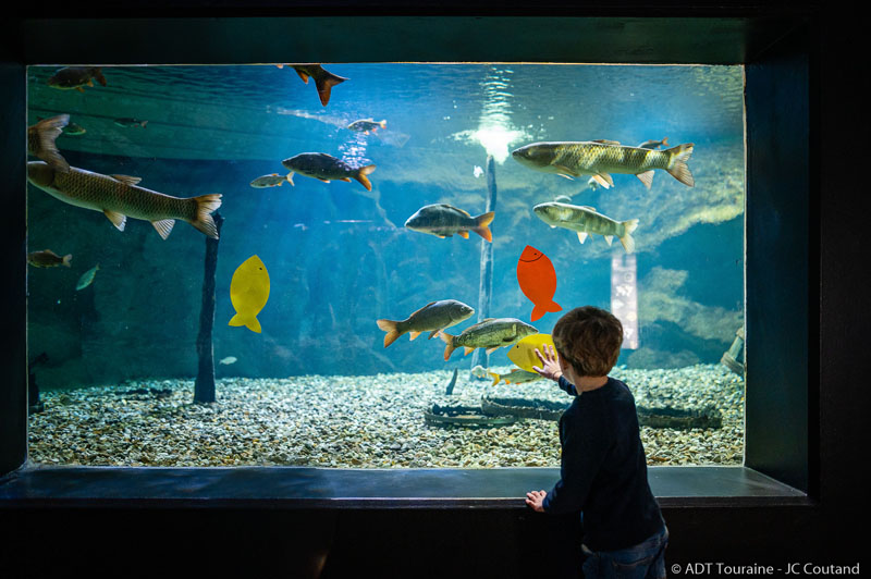 Aquarium de Touraine. Loire Valley, France.