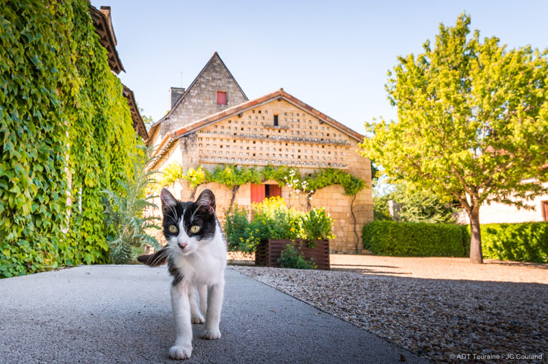 François Rabelais Museum - La Devinière, the native house of François Rabelais in Loire Valley, France. Gargantua, Pantagruel, Panurge...