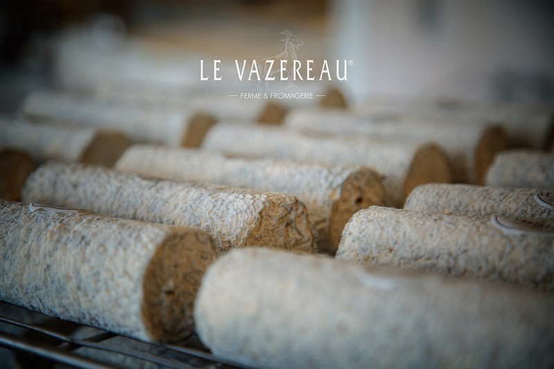 Goat cheese - Le Vazereau, Loire Valley, France.