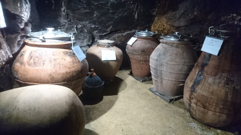 Vintage in wine amphoras during a tour in the cellar of the Lambert estates, for a different style than the reds. Chinon wines to drink, Loire Valley region, France.