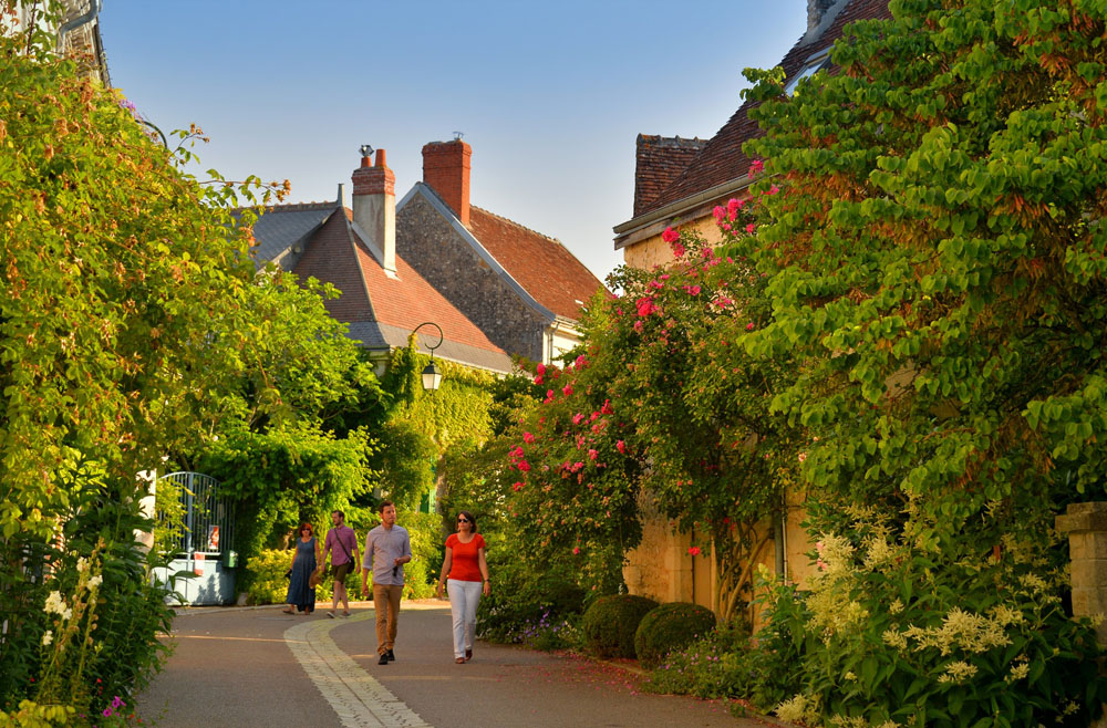 Chédigny roses, a very colourful village!