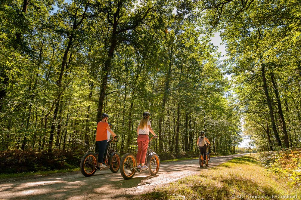 Trott'ecow: electric scooter into the Loches national Forest - France