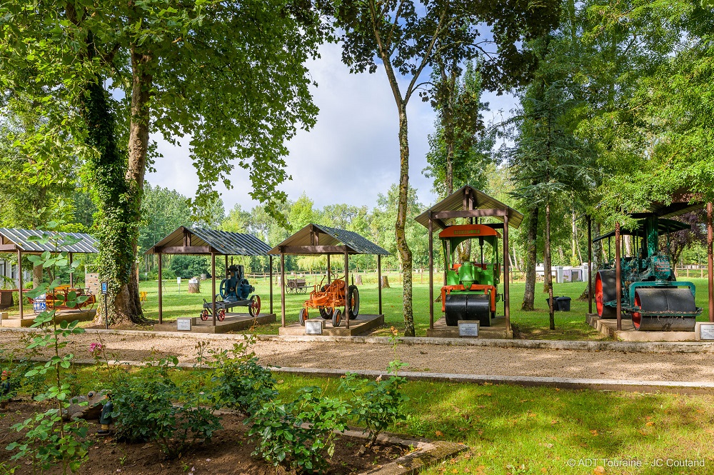 Leafy park