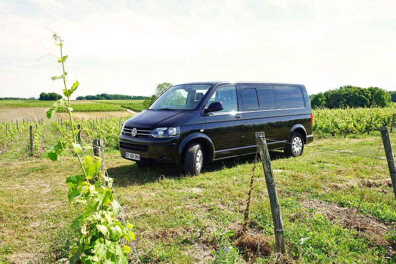 Vineyard guided visit with VinoLoire - Loire Valley, France.