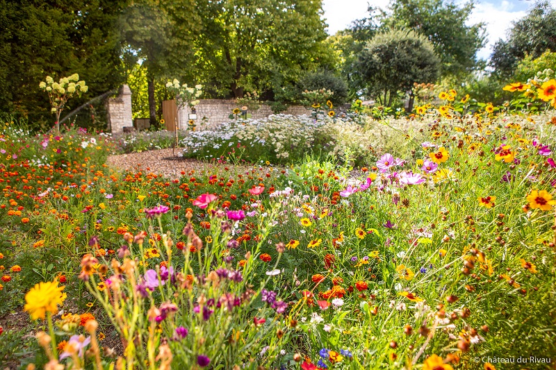 The edible flower garden of Rivau castle. Lémeré, France.