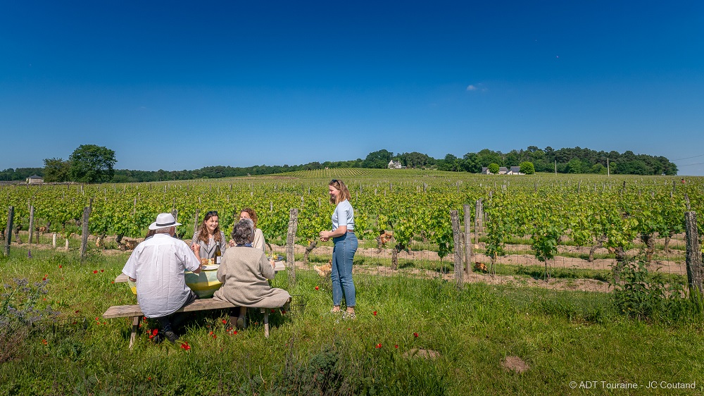 Vincent cuisinier de campagne (Vincent Country Cook)
