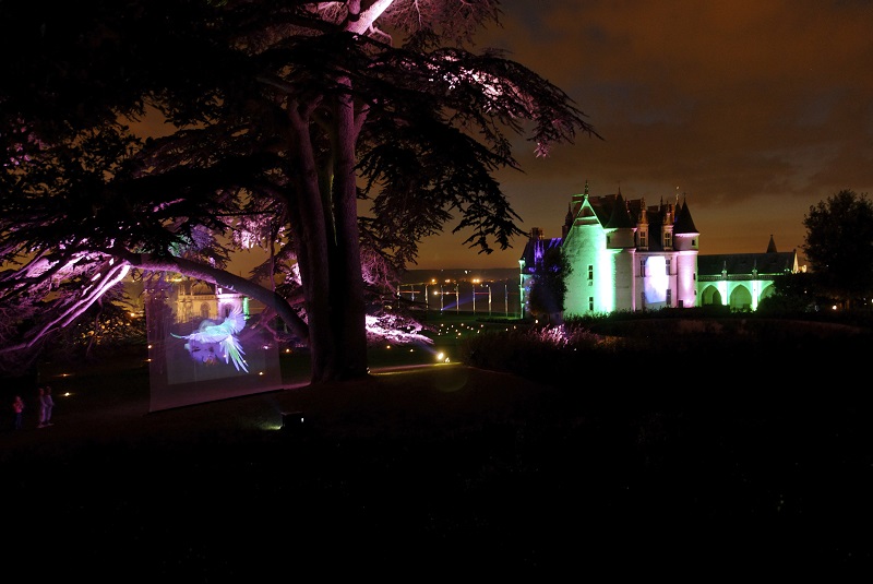 Royal château of Amboise