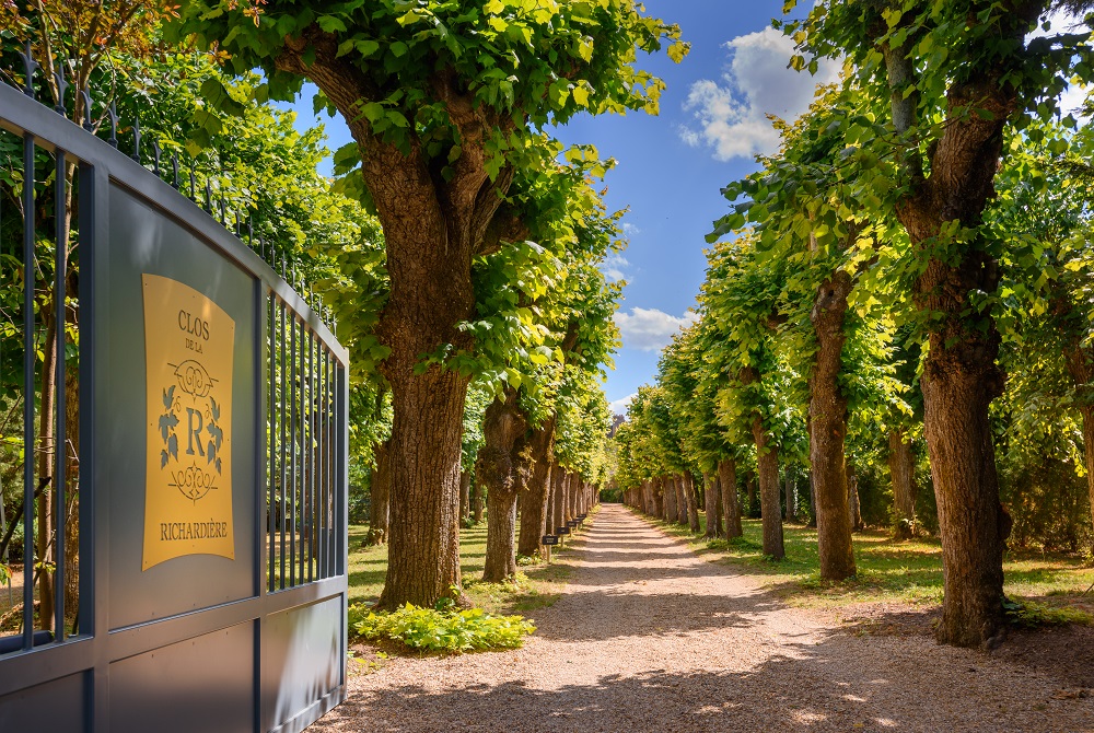 The lime trees© Léonard de Serres