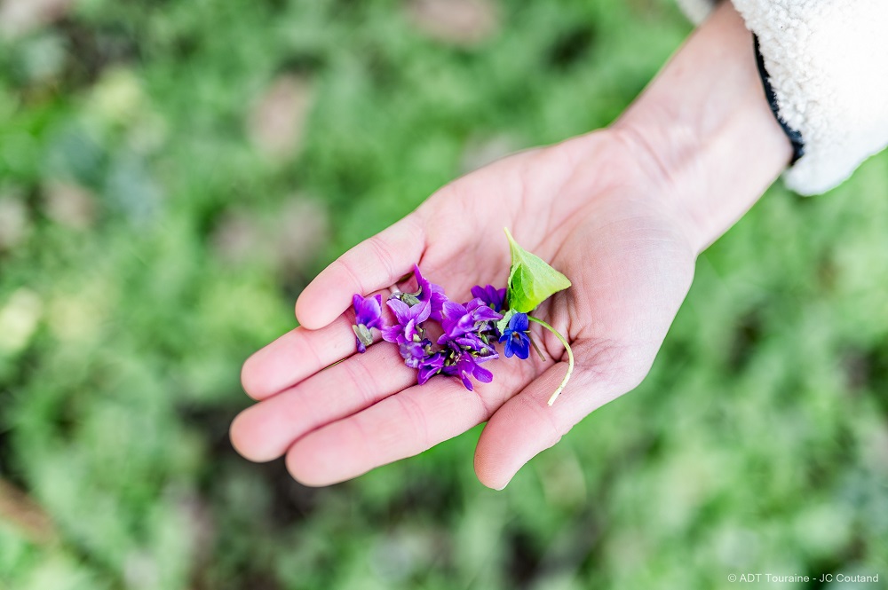 Picking in the garden