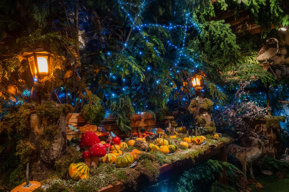 Christmas magic in the land of Chateaux - Villandry