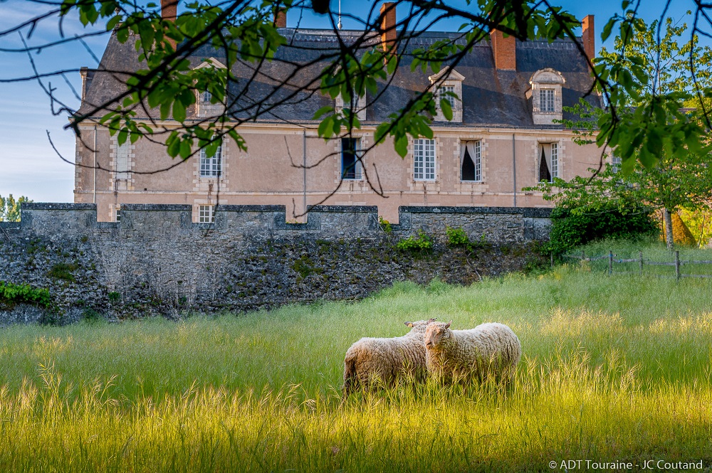 Château of Gizeux: treasure hunt and others surprises.