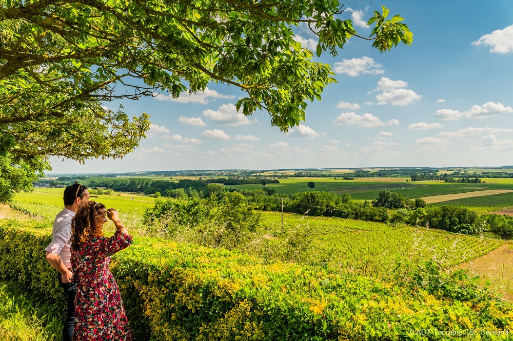The Vienne valley: landscapes shaped by the vineyards