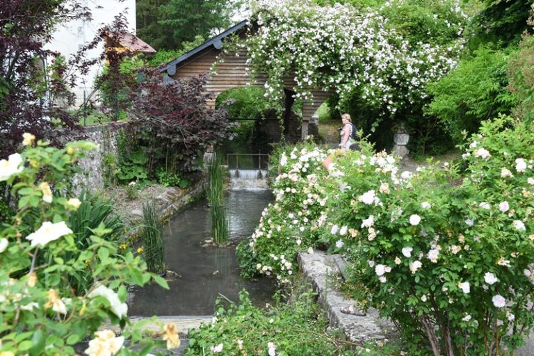 Guided floral tour of Chédigny, both village and garden-4