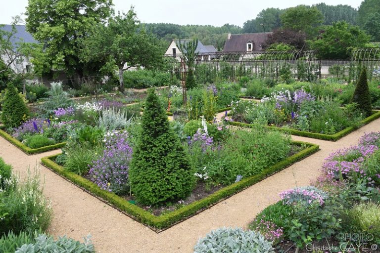 Guided floral tour of Chédigny, both village and garden-7