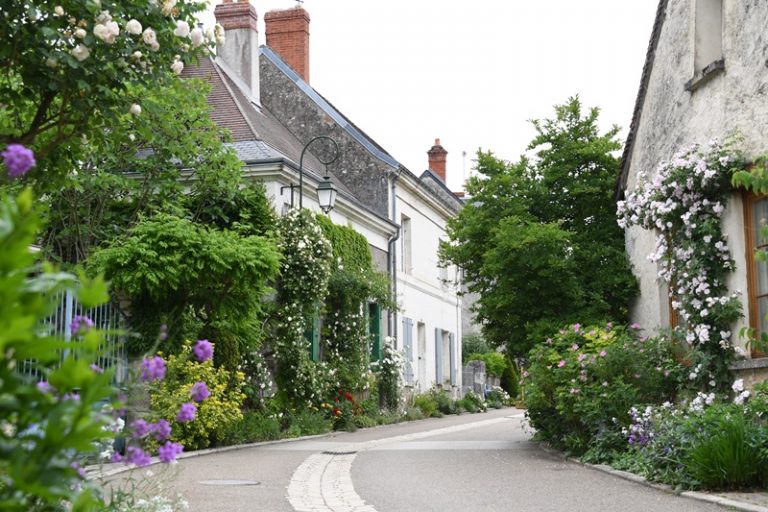 Guided floral tour of Chédigny, both village and garden-2