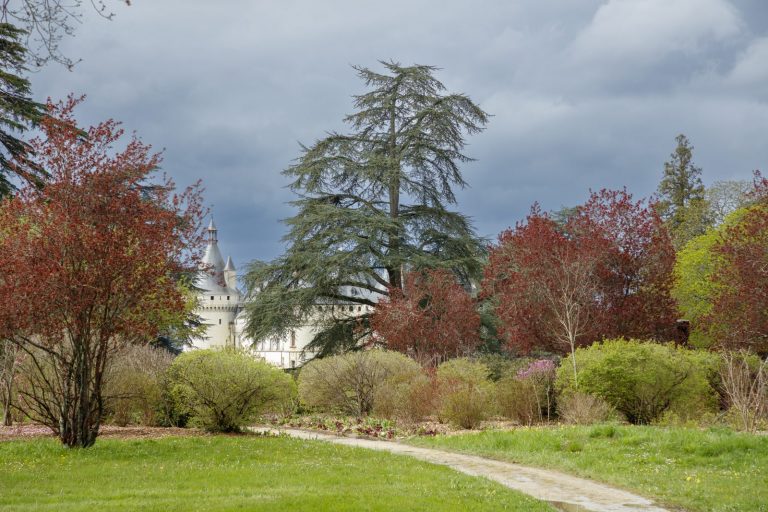 Château of Chaumont-sur-Loire-6