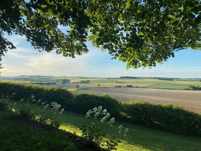 Domaine De La Boissiere – Le Grand Cerf-11