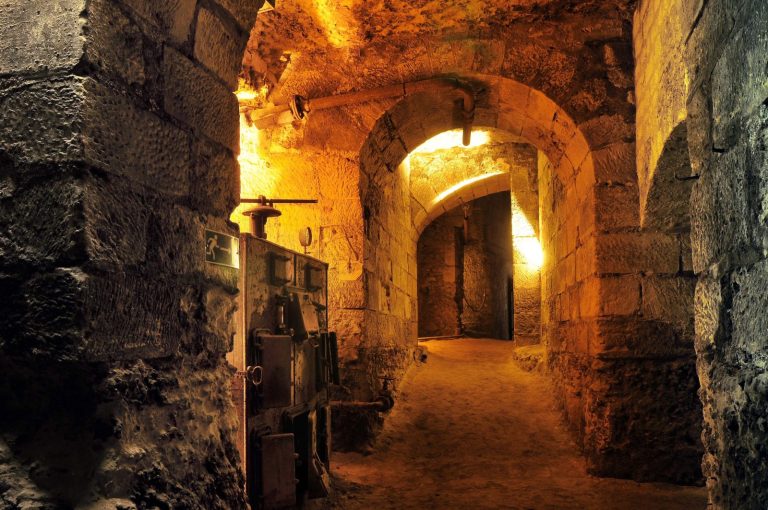 Visite guidée dans les coulisses de l’histoire au Château royal d’Amboise-2