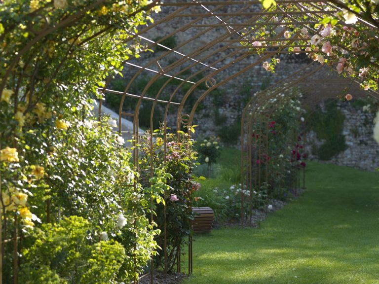 The Castle rose garden-1
