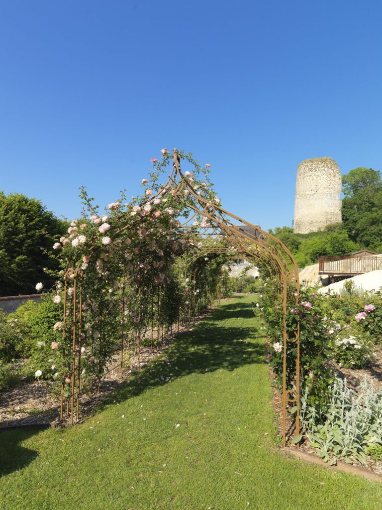 The Castle rose garden-2