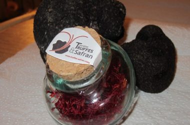 1e-truffes-StMaures600