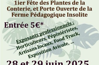1er fête_des_plantes_Beaumont_Village_Loches_Val_de_Loire