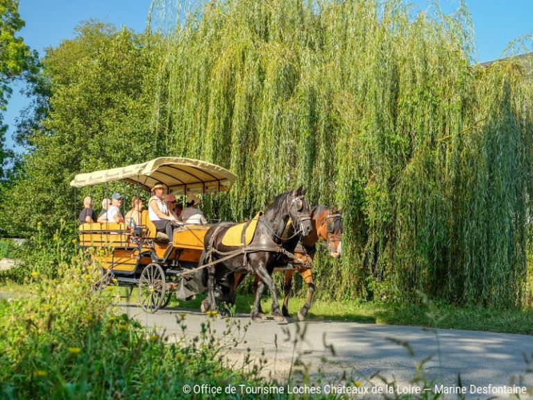 Horse and carriage tour – Loches and Beaulieu-lès-Loches-1