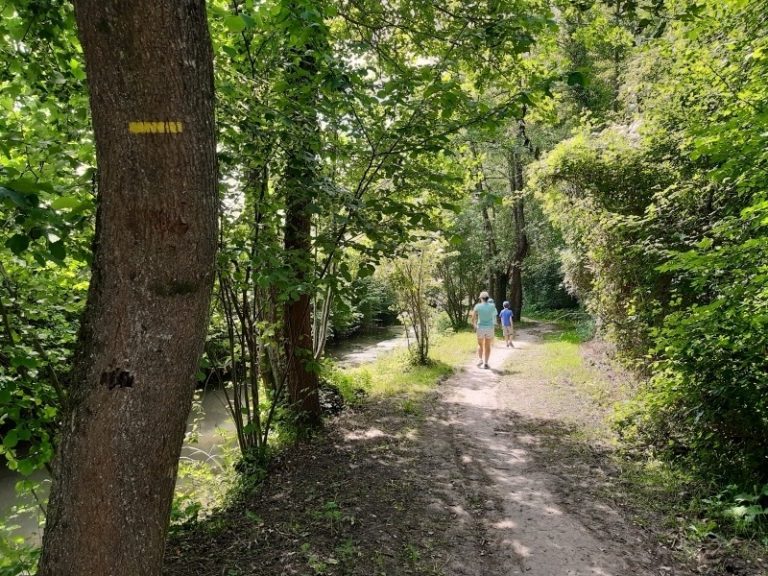 From the river to the coteaux: walk through the Val de Choisille.-2