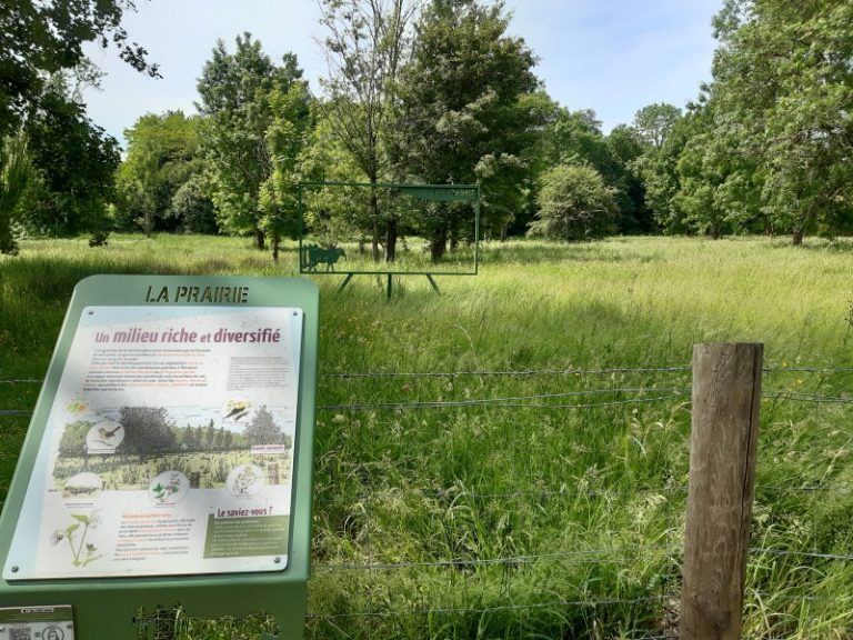 From the river to the coteaux: walk through the Val de Choisille.-1