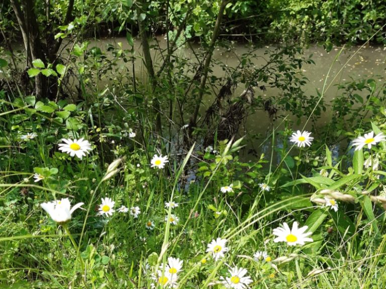 From the river to the coteaux: walk through the Val de Choisille.-7