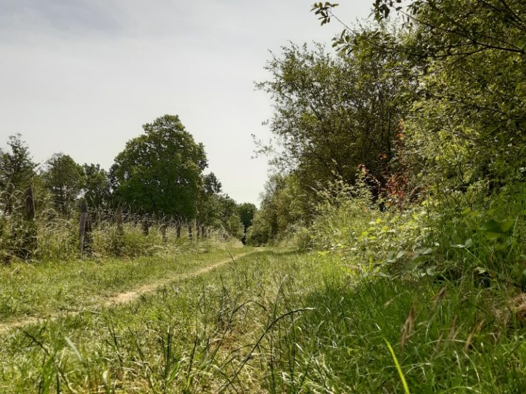 From the river to the coteaux: walk through the Val de Choisille.-8