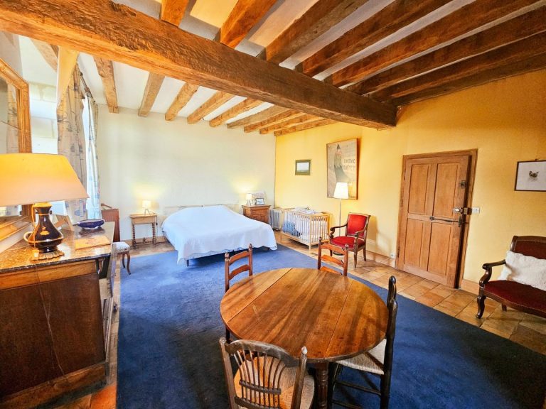 Le Logis de la Renaissance-15