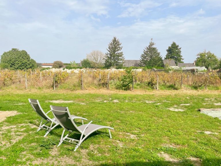 Le Petit Clos de Louis-12