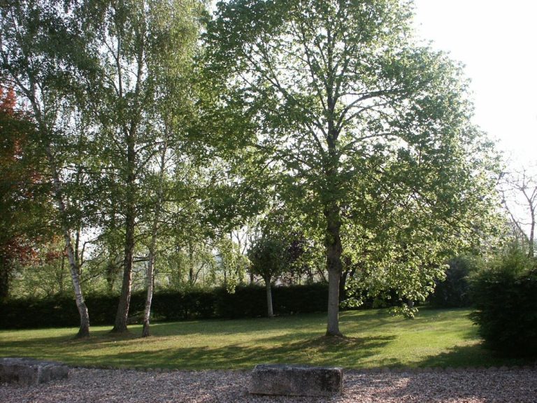 Rural Gite-6