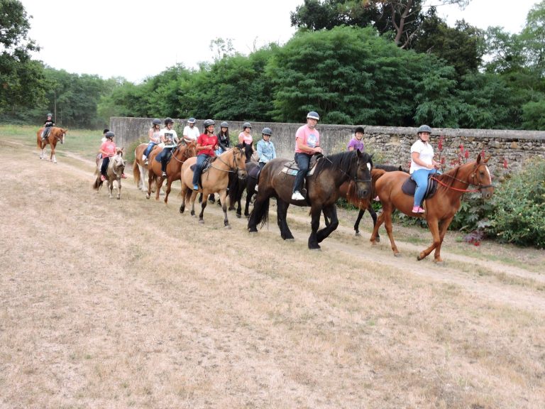 Touraine Cheval-4