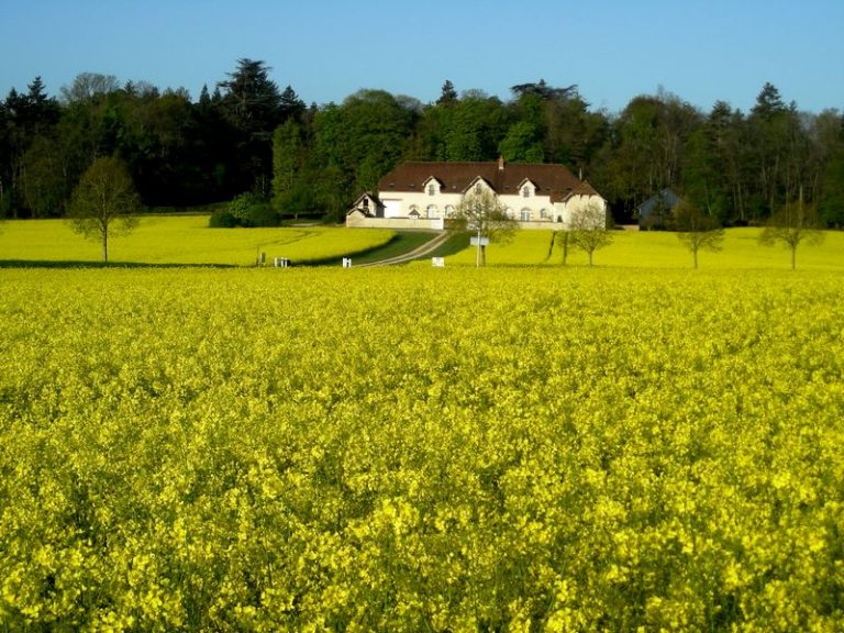 Domaine de la Maison Neuve-2