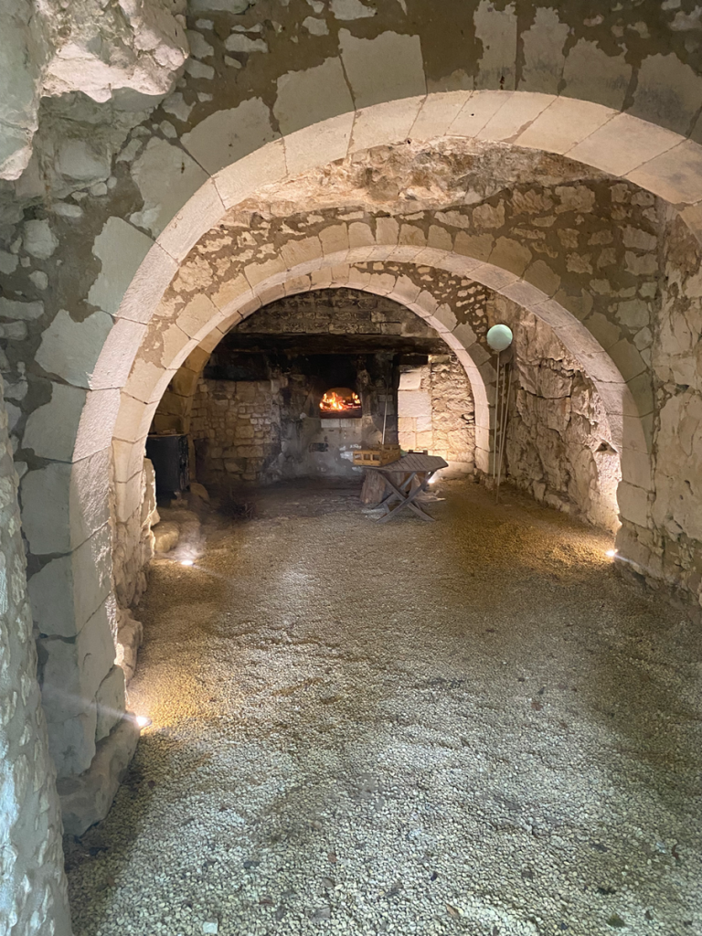 Château des Brétignolles-2