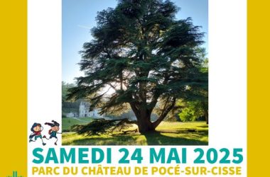 Affiche Célébrons le patrimoine ! Parc du Château de Pocé-sur-Cisse Samedi 24 mai 2025 – Pays d’art et d’histoire Loire Touraine